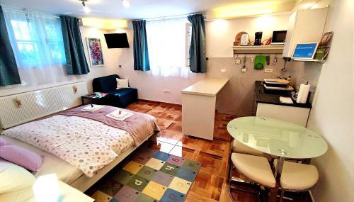 Studio apartmani L'ART - Foto 2, stove, minibar