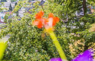 Chalet Pradat - Foto 32