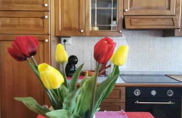 App vicino a Pedavena - Foto 12