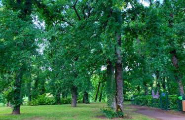 Appartement dans joli village de vacances 47150 - Foto 6