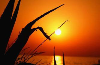 AURA beachouse - Foto 28