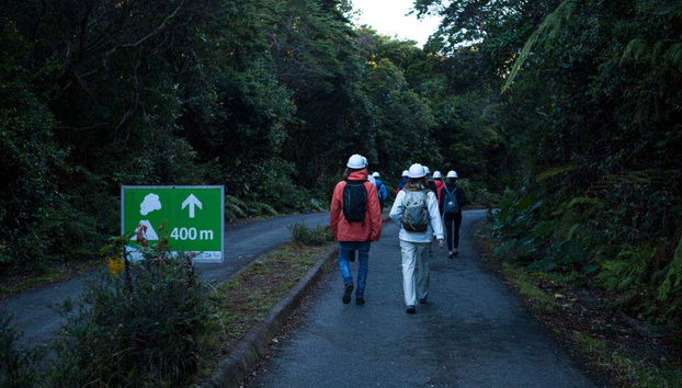 Poas Volcano National Park Day Trip - Foto 5