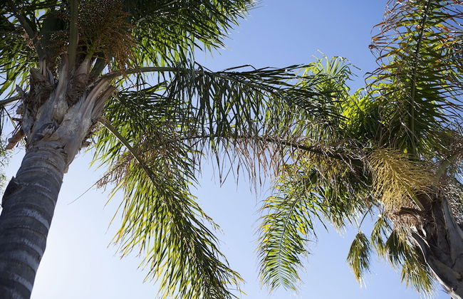 Echuca Moama Holiday Villas - Photo 22