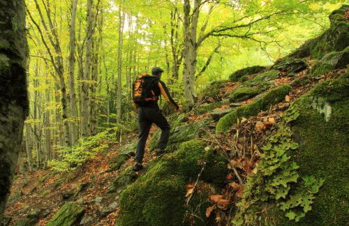 Casa rural El Abejaruco - Foto 39