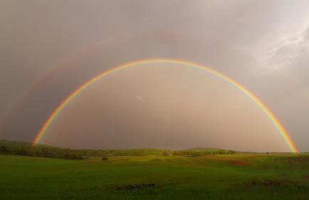 Tiny House Grabovac - Foto 44