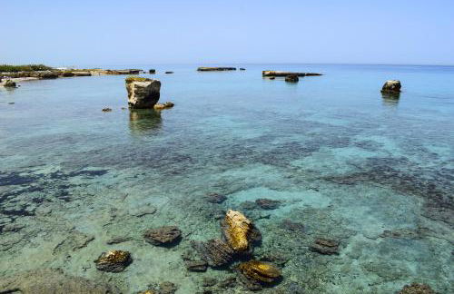 Masseria Bosco Mazza - Foto 38