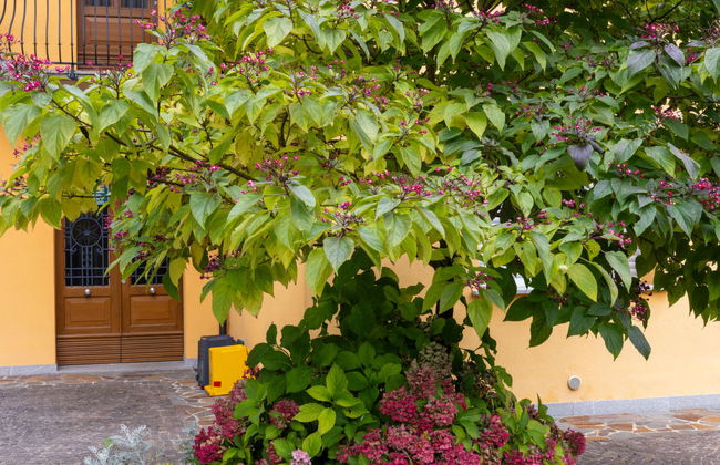 La Corleta di Sot - Foto 21