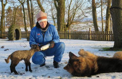Ferienhof Landfrieden - Foto 15