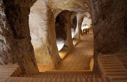 Casas de Valois - Foto 68