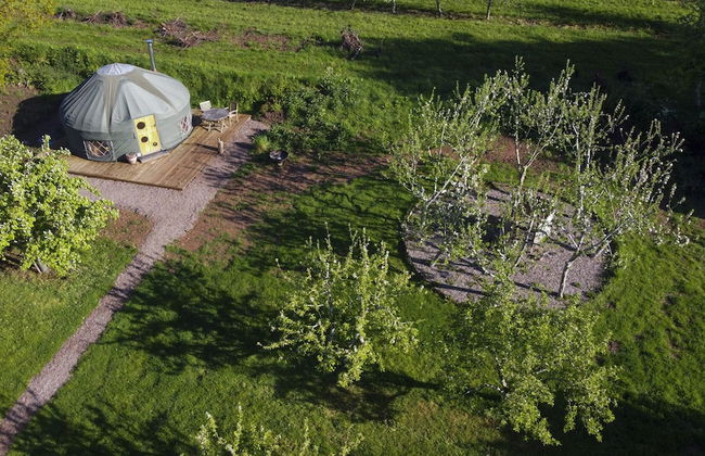 Dragon Orchard Retreat - Photo 27