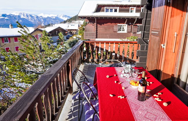 Goeland n°4 - Foto 15