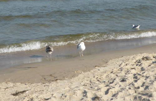 Haus "Annekathrin" - Foto 31