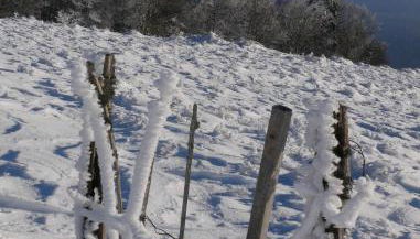 Grand appartement hyper centre haut standing - Foto 5