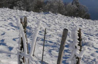 Grand appartement hyper centre haut standing - Foto 5