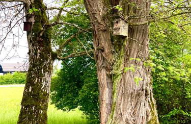 Zuhäusl am Chiemsee Appartements - Foto 71