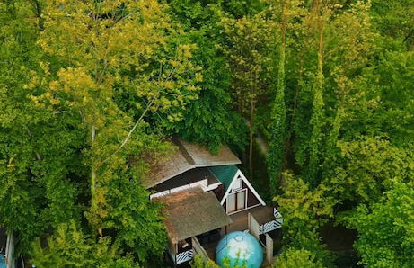 Sapanca Casamia Suit - Photo 66