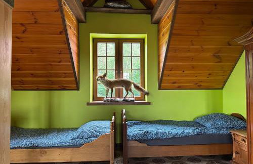 Uroczysko Ranczo Kupała Pałac, Mini zoo, stawy, ognisko, cały teren dla gości - Foto 33