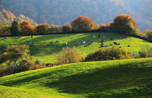 Amplia casa rural en el corazón del valle Ulzama - Photo 45