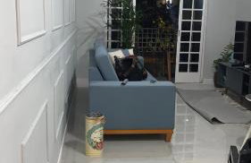 Sobrado Butanta, Usp, Morumbi, Pinheiros regiao central e Interlagos - Foto 12