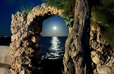 Pis la rapita - Foto 35