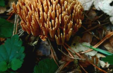 Kawalerka u Megi - Foto 16