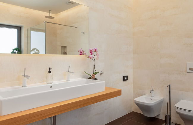 Old Olive VIII - Foto 32