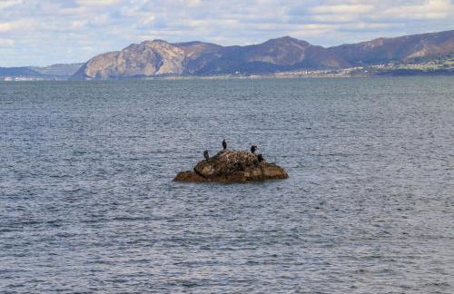 The Stables - Photo 55