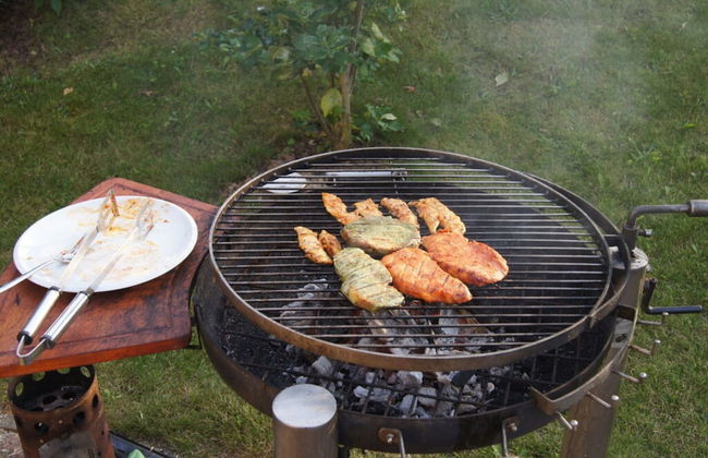 Land Fleesensee - Foto 13