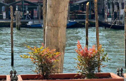 Grand Canal Diamond - Photo 36