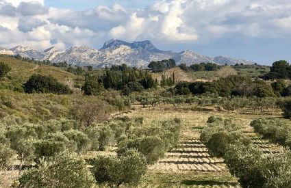 Lodge en Provence - Foto 24