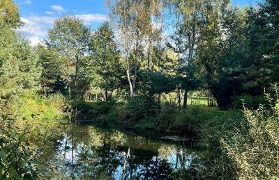 Kurort Mirowice-domek w lesie, z balią z jacuzzi i hydromasażem - Foto 34