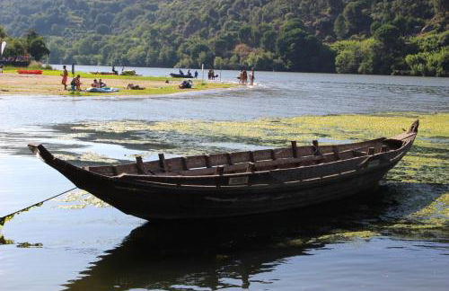 Peaceful villa in São Martinho de Mouros with private pool - Foto 25