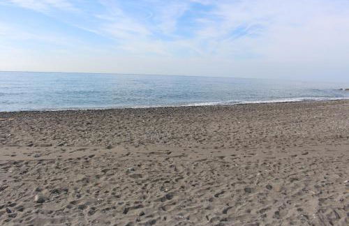 Beach and Family - Photo 67