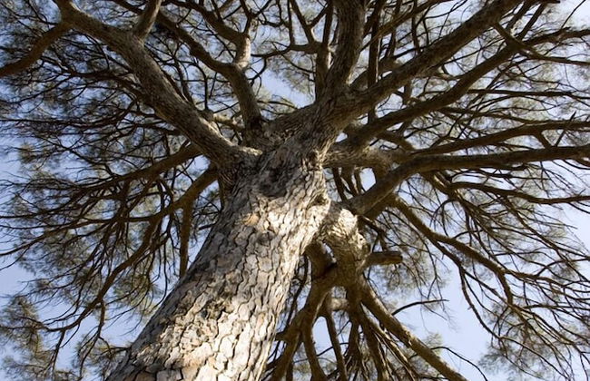 Agriturismo Carbona - Foto 36