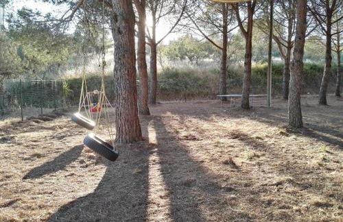 Dolce Vita - Foto 61