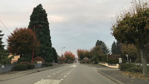 Visite Estrasburgo con un conductor privado - Provisión 4 horas - Foto 4