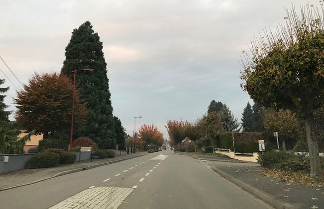 Visite Estrasburgo con un conductor privado - Provisión 4 horas - Foto 4