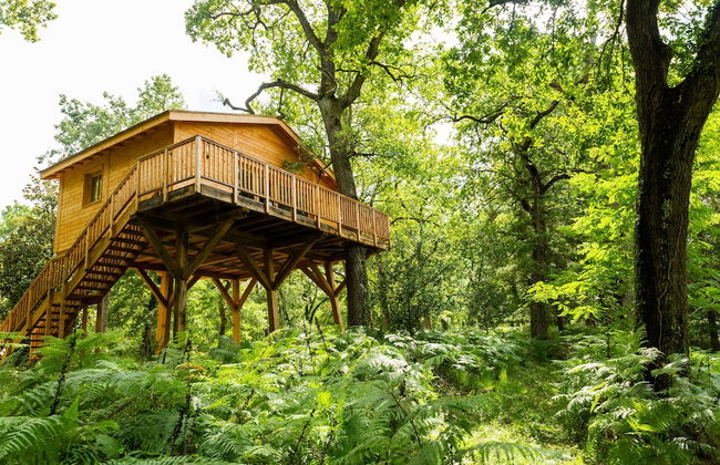 Château Léognan, Domaine viticole - proche Bordeaux - Foto 10