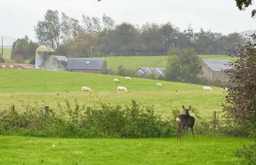 Wild Meadow Cottage - Countryside Views and King Bed - Foto 20