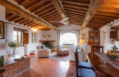 Cipressini - Foto 38