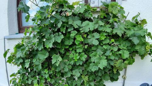 Ferienwohnung Albstadt Panorama - Foto 3