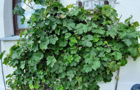 Ferienwohnung Albstadt Panorama - Foto 3