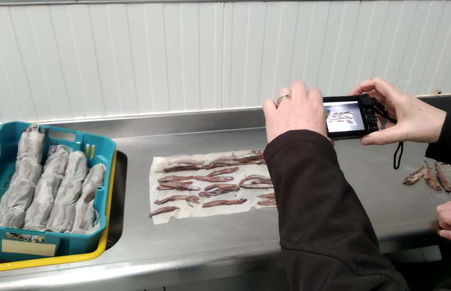 Visita a una fábrica conservera + Marismas de Santoña - Foto 4