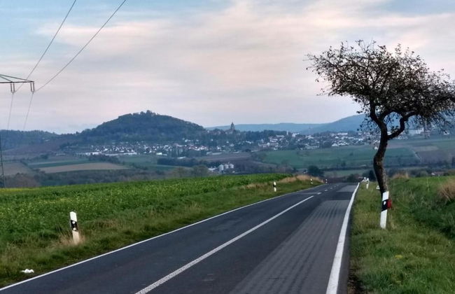 Schone Ferienwohnung mit Gemutlicher Terrasse - Foto 43