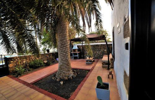 Finca Lucía - La Lava - Foto 20