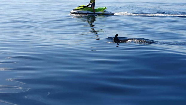 Tour in Manilva - Foto 5