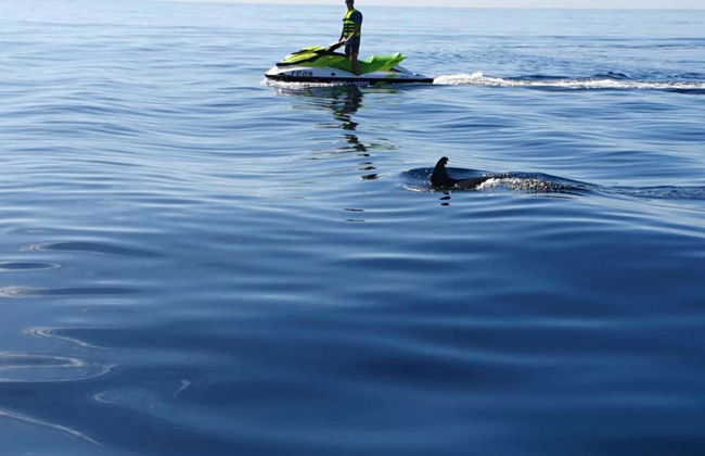 Tour in Manilva - Foto 5