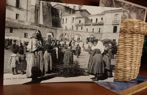 LE GINESTRE - Photo 19