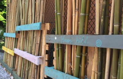 Happy hill - appartamento Bambù- natura e relax - Photo 55