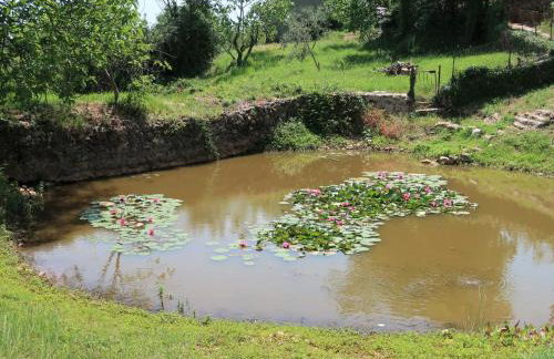 Apartment Teo-2 by Interhome - Foto 36